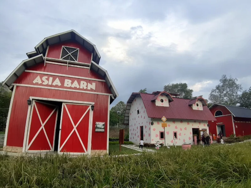 Menikmati Wisata Edukasi di Asia Farm Hayday Pekanbaru – Destinasi Seru untuk Keluarga dan Anak-anak