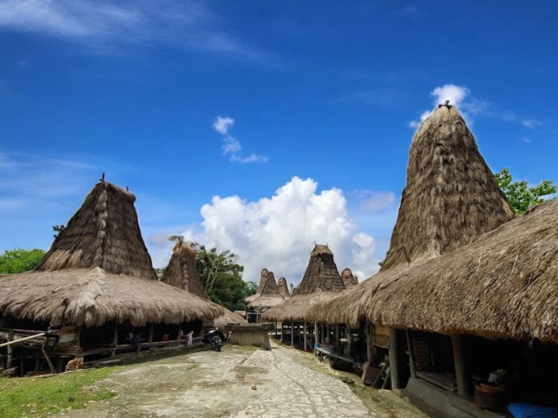 Kampung Prai Ijing, Deretan Rumah Adat Sumba Berbalut Edukasi Budaya