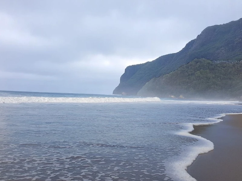 Pantai Sukamade
