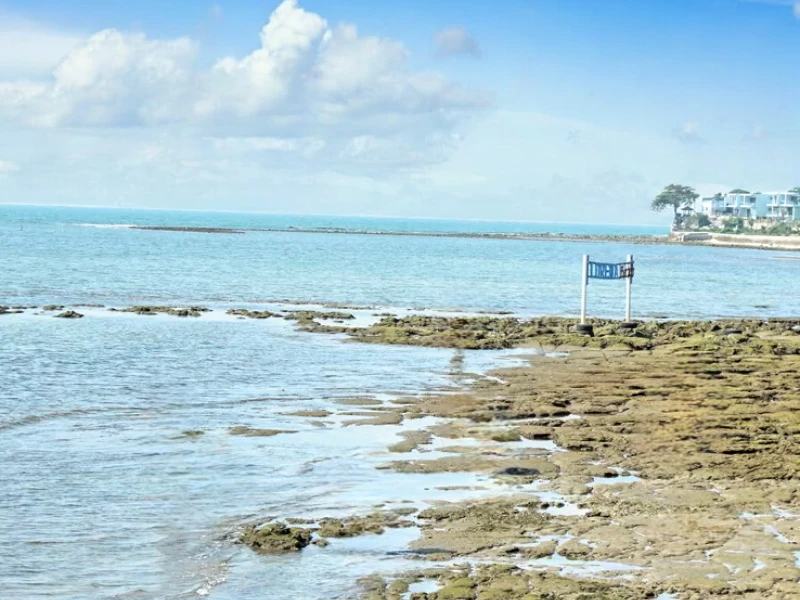 Keindahan Tersembunyi di Pantai Lorena Lamongan: Destinasi Wisata Bahari yang Menawan