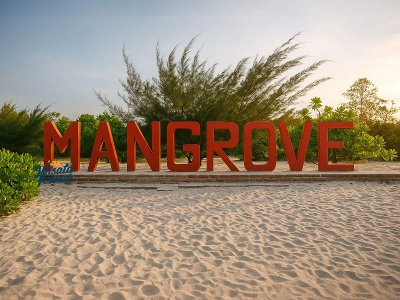 Pantai Mangrove Kampung Nipah