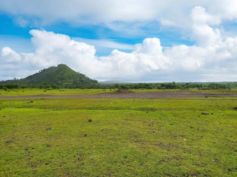 Pesona Savana Tianyar Bali, Surga Tersembunyi di Kaki Gunung Agung