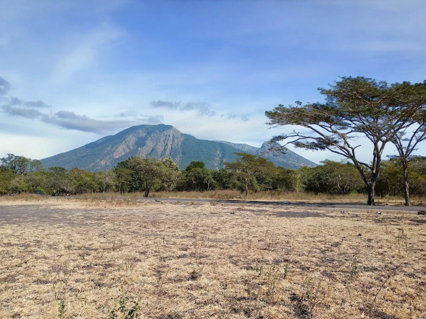 Menjelajahi Keajaiban Savana Afrika di Jawa: Pesona Taman Nasional Baluran Situbondo