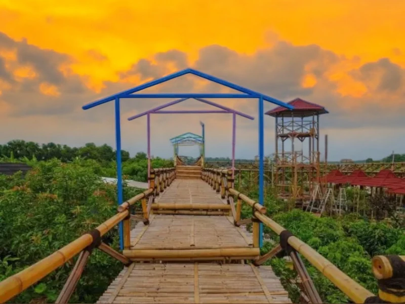 Agrowisata Situ Bolang: Wisata Alam dan Pertanian di Tengah Keindahan Alam Cirebon