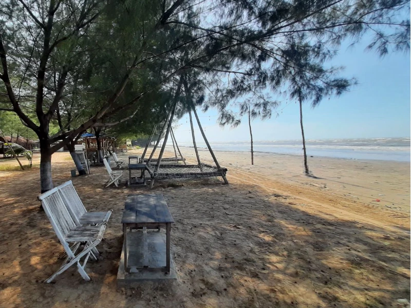 Pantai Cemara Tuban, Wisata Pantai dengan Deretan Pohon Cemara Teduh