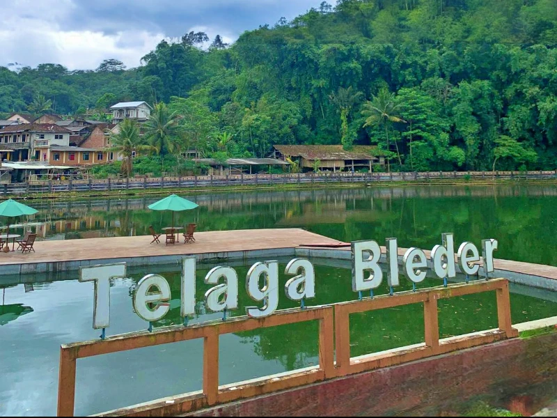 Telaga Bleder: Pesona Alami di Tengah Kesejukan Alam